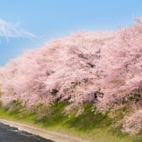 たのしい万葉集　鴨鳥の遊ぶこの池に・・・　