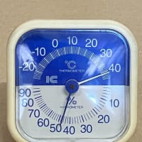 今年初の40℃超えかな ^^;