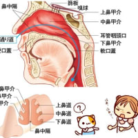 鼻で呼吸できない！