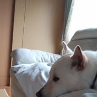 関係良好