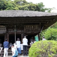 東鎌倉を巡る：覚園寺・明王院・杉本寺