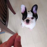 写真を撮るのが大変