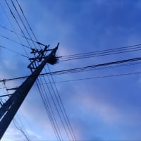帰れたー！