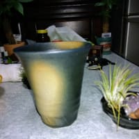 やや早め　に　湯あがりビール  !