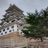 元気です
