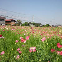 パソコンクラブ撮影会