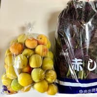 羨ましい皮膚感覚・・・
