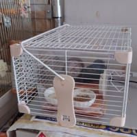 温度と湿度の管理は大切