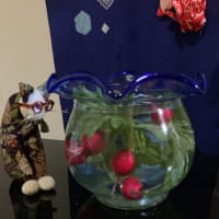 二十日大根（ハツカダイコン）