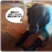 スカイ病院へ