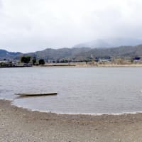 嵯峨野　早春sketch