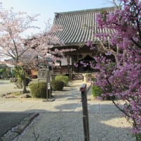 聖徳太子はいなかった 聖徳太子架空説 聖徳太子の謎 聖徳太子はふたりいた