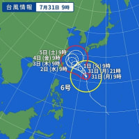 ほんとに？進路予想図🌀