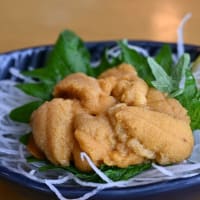小舟渡