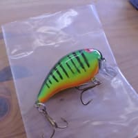 バンディット フットルース　ファイアタイガー