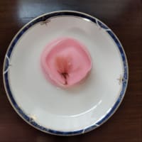 桜プリン