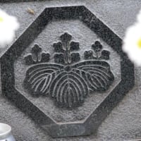 篠窪（しのくぼ）の隣町 草月流　佐久山様が「桐の花芽」を生ける(2024/03/26）