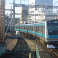 珍しい・・・のかな？