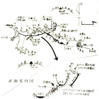 ８月もあと数日となったものの、秋らしさが見えずに、先月に続き腰痛と右脚のシビレ痛の治療に専念しつつ、資料物の整理。