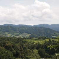 今日の野村町の空模様です