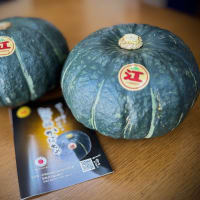 🎃夏の風物詩が今年もやって来る・・