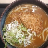 酒々井PA下り車線　ネクスコ東日本リテイル　カツカレーうどん