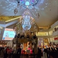 今年の締めくくり　〈2024〉