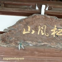 島津公と深縁の浄土宗寺院「松風山晴雲寺」