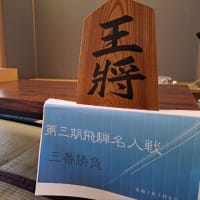 飛騨名人戦でした
