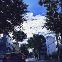 ほんと！！！もうっ “ 夜 ”　熱帯夜