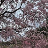 幸せ時間