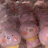 昨日は…