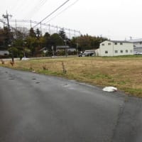 50号BPすぐ近く岩間街道河和田町貸地１，０００坪