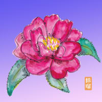 ◎☆椿と山茶花の花