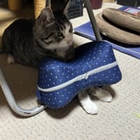 インデアンのカレー