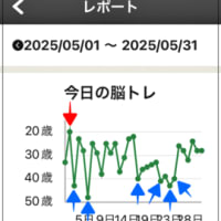 毎日脳トレ～５月レポート
