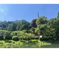 今日いち-2025年6月26日