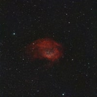 sh2-261 ローワーの星雲