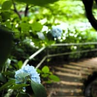 あおみなづき４