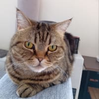 お出かけするには良い季節