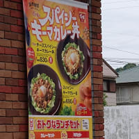 スパイシーキーマカレー丼