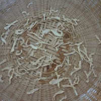 大根攻めで、夏に作る切干大根