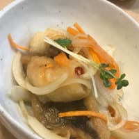 玉網でいろいろ掬う、地球も救う？