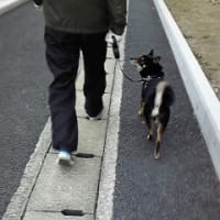 ありがとう