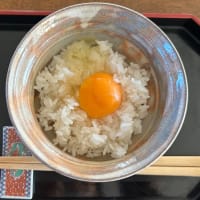日本生活再開
