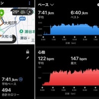 庭木の剪定１時間 & 今日のトレーニング