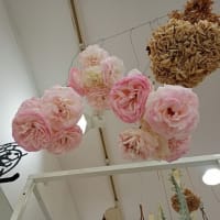 ５月２２日（木）晴れ