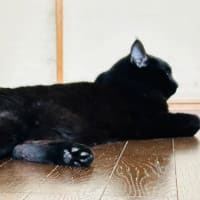 今季1号、飛びました～