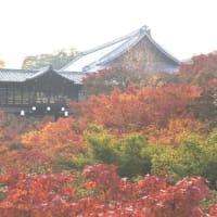 京都・東山、東福寺（２）