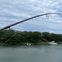 Ripple Fisher SilverStream 81 Stiletto　インプレ